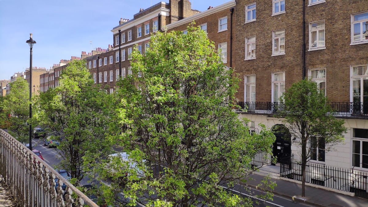 Opulence Central London